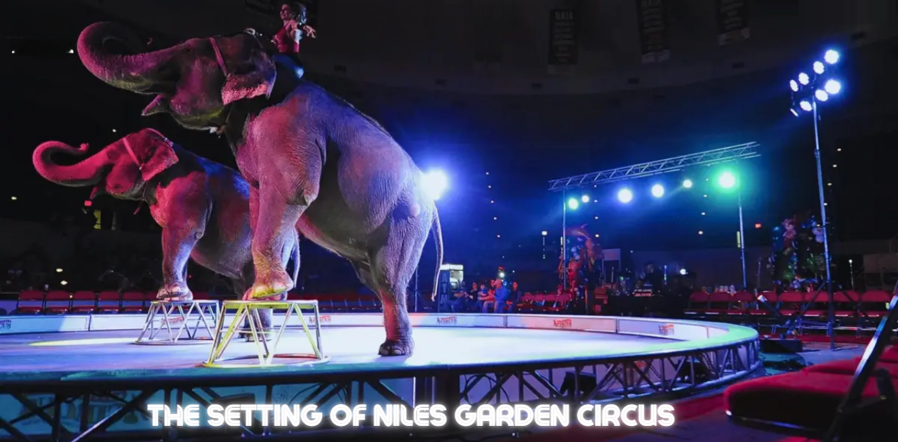 A vibrant and dynamic scene showcasing the colorful lights and lively atmosphere of Niles Garden Circus.