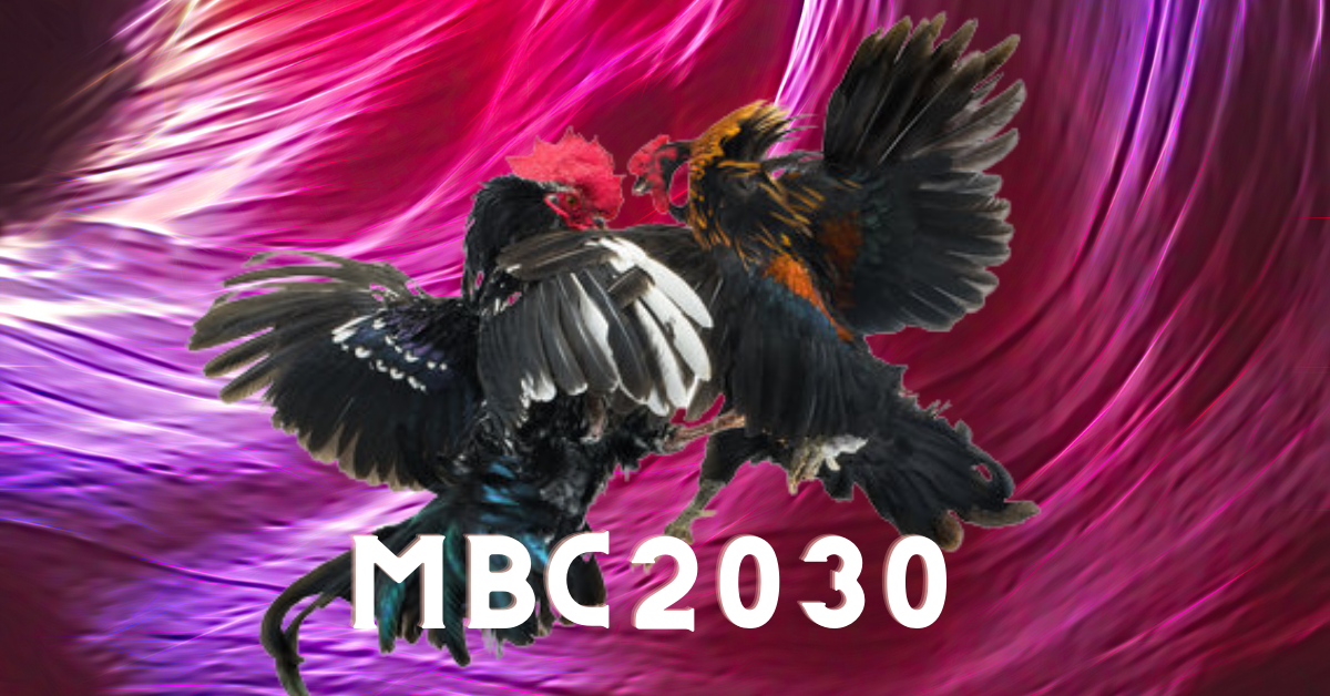 MBC2030